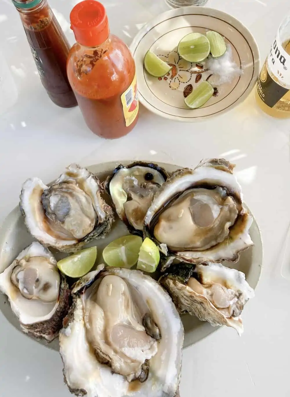 Half a dozen oysters at Agua Blanca in Oaxaca. 