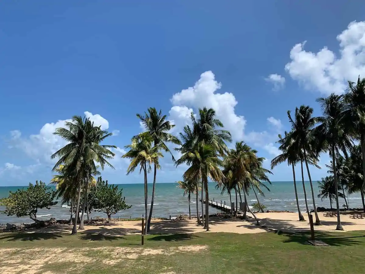 Dock at Pelican Beach Resort in Belize.