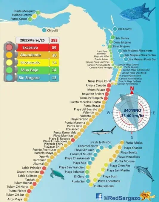 Cancun seaweed map by Red de Monitoreo del Sargazo de Quintana Roo.