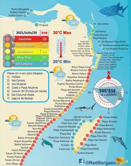 Sargassum Map Credit Red de Monitoreo de Sargazo Cancun