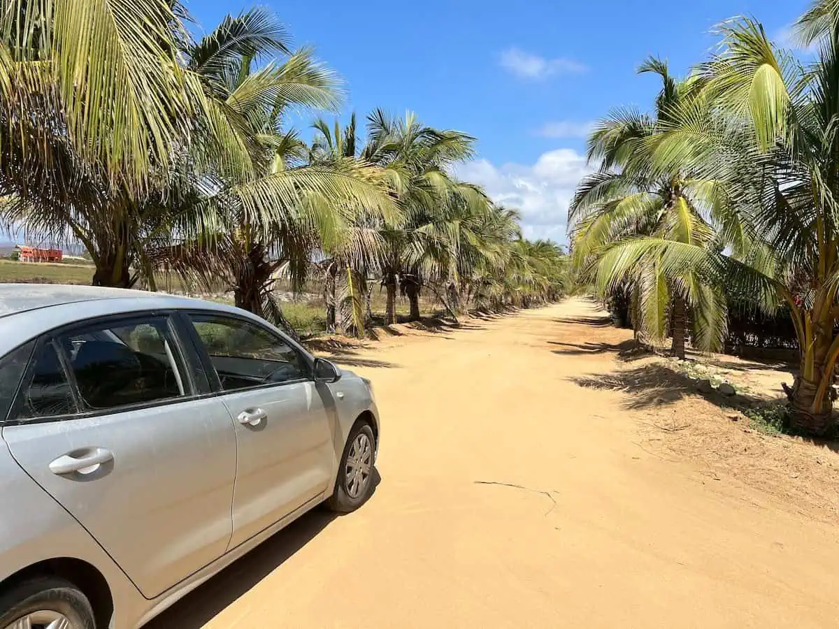 Rental car on a dirt road in Oaxaca. 