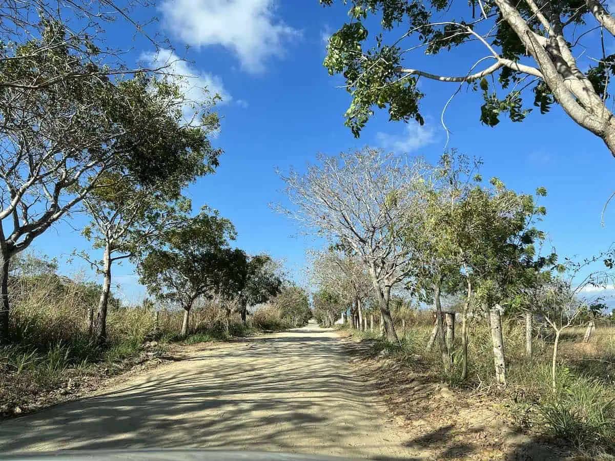 Dirt road in Oaxaca. 
