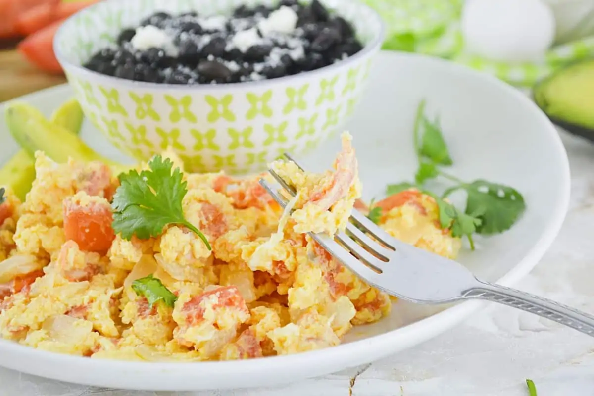Guatemalan scrambled eggs and black beans on a white plate with a fork.