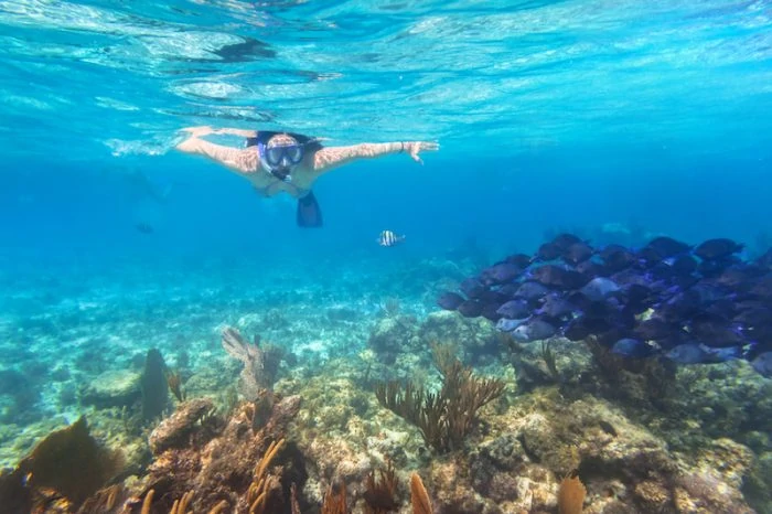 Snorkeling in Huatulco Mexico