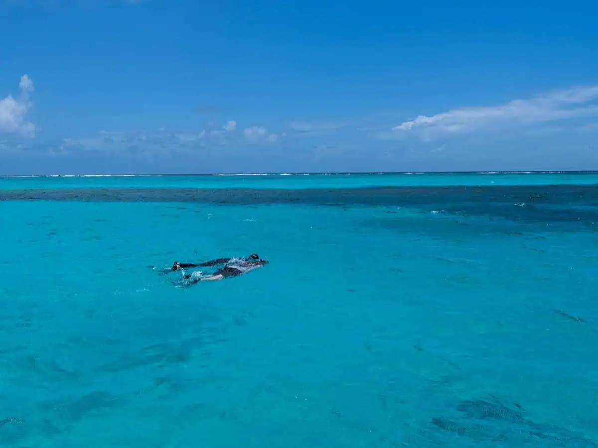 Two people snorkeling in the ocean. 