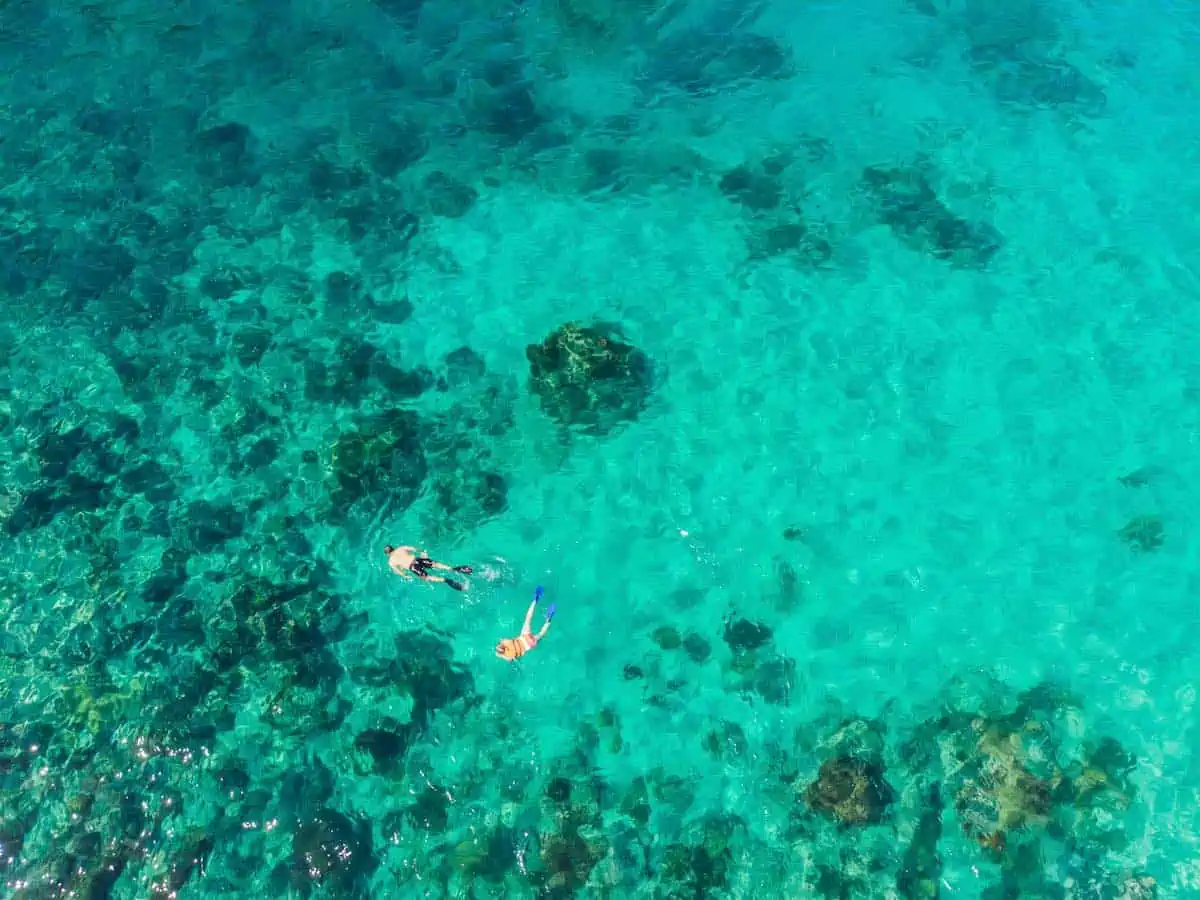 Arial shot of couple snorkelling in ocean.