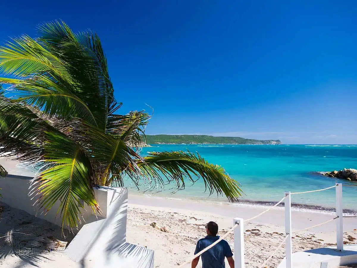 Man walking on beach with palm tree.