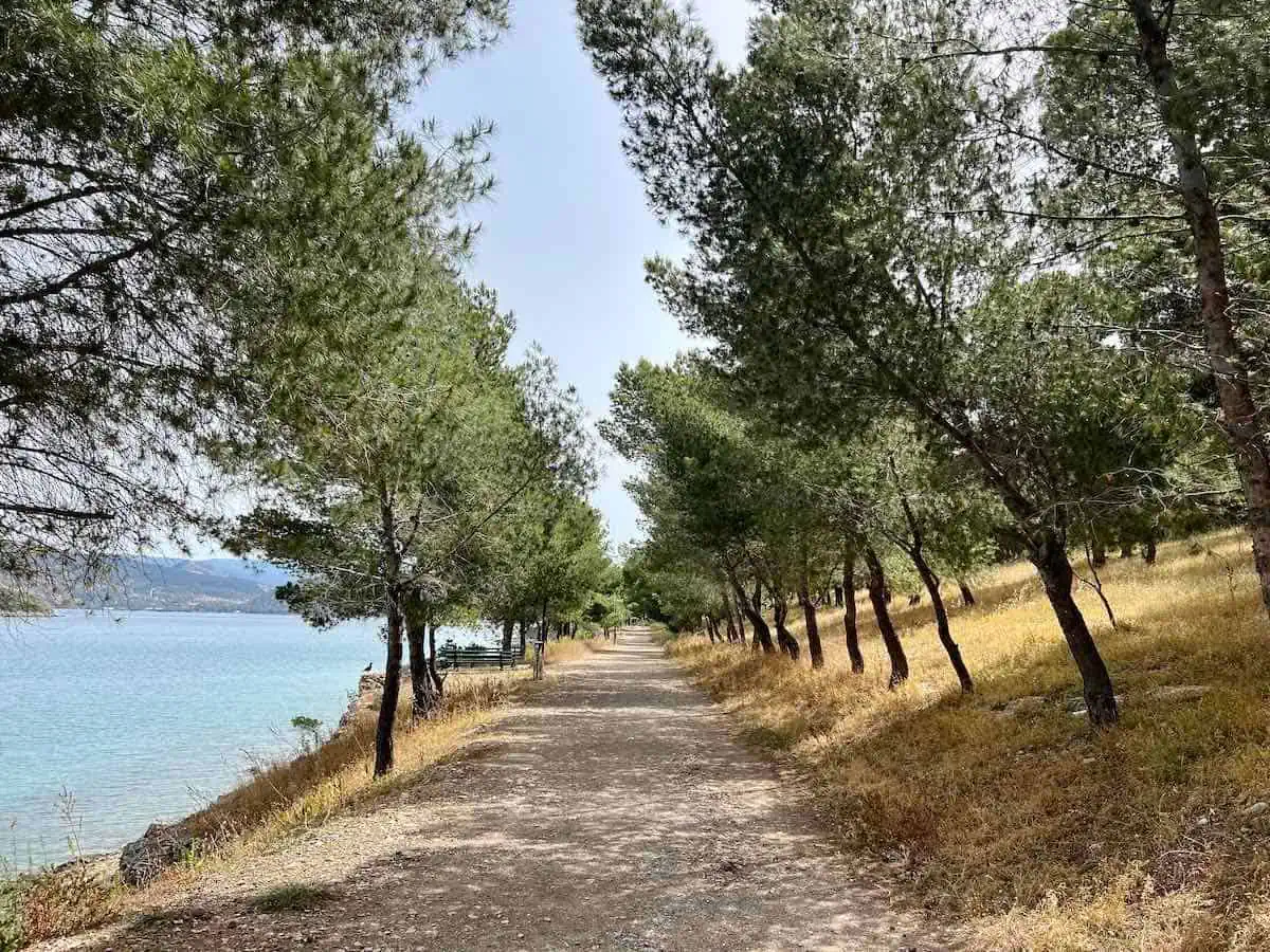 Walking path with trees.