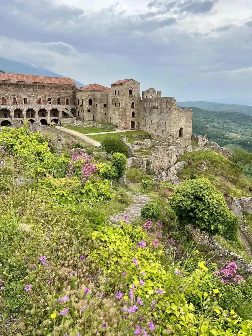 Panoramic view towards Sparta from Mystras with wildflowers in foreground. 
