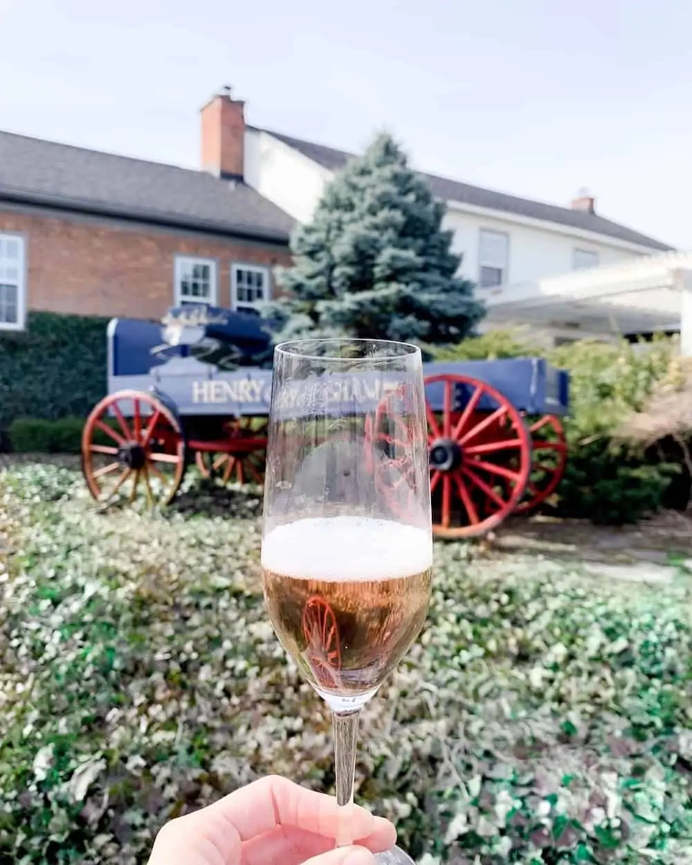 A glass of wine at an outdoor wine tasting at Henry of Pelham Winery.